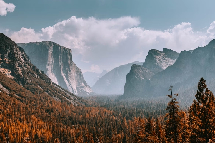 Valley landscape